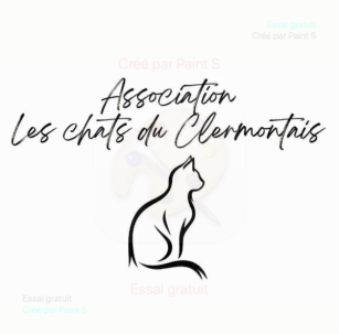 Les Chats du Clermontais